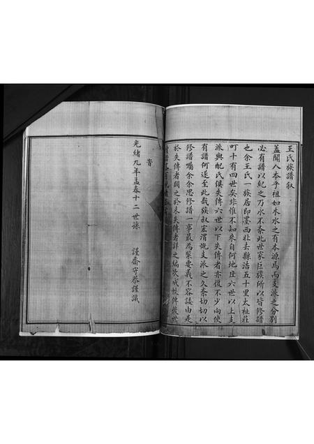 山东王氏-王氏族谱.pdf电子版预览图2