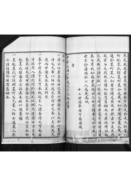 山东王氏-王氏族谱.pdf电子版预览图5