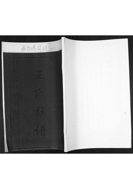 山东王氏-王氏族谱.pdf电子版缩略图