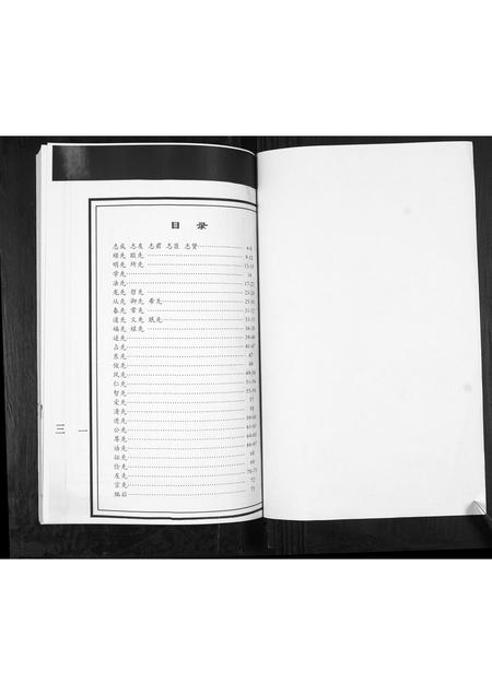 山东王氏-王氏族谱.pdf电子版预览图1