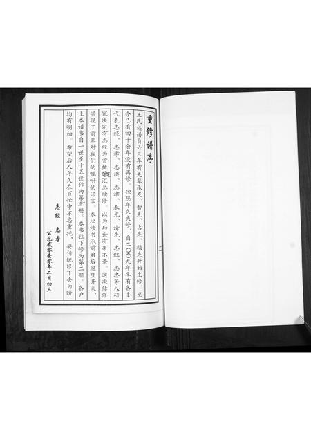 山东王氏-王氏族谱.pdf电子版预览图2