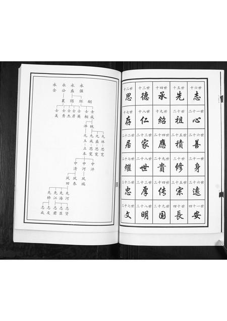 山东王氏-王氏族谱.pdf电子版预览图3