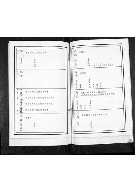 山东王氏-王氏族谱.pdf电子版预览图4