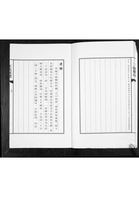 山东王氏-王氏族谱.pdf电子版预览图4