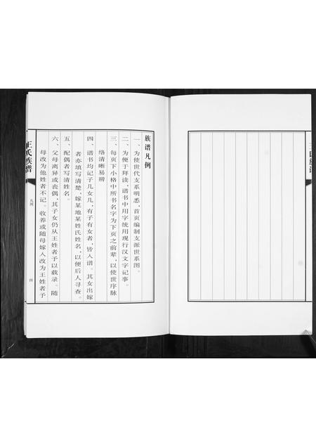 山东王氏-王氏族谱.pdf电子版预览图5