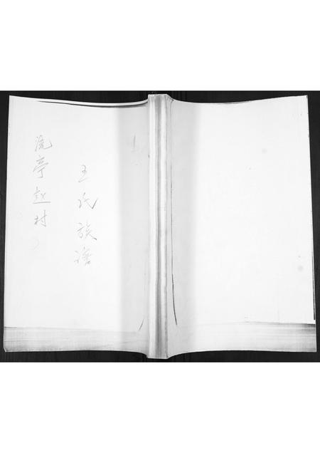 山东王氏-王氏族谱.pdf电子版缩略图