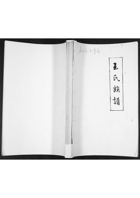 山东王氏-王氏族谱.pdf电子版缩略图