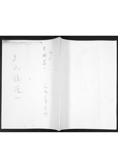 山东王氏-王氏族谱.pdf电子版缩略图