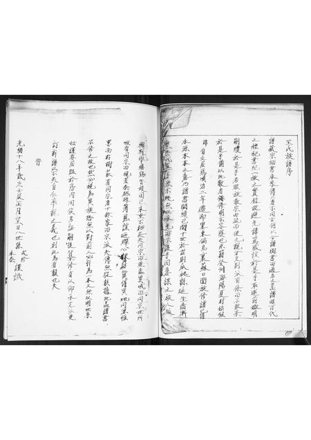 山东王氏-王氏族谱.pdf电子版预览图1