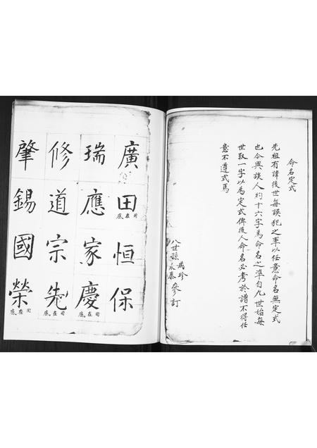 山东王氏-王氏族谱.pdf电子版预览图4