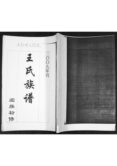 山东王氏-王氏族谱.pdf电子版缩略图