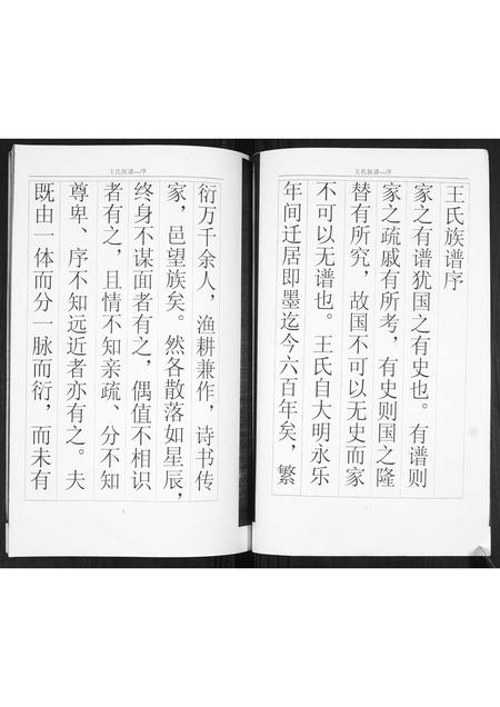 山东王氏-王氏族谱.pdf电子版预览图1