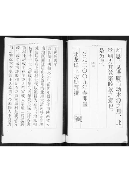 山东王氏-王氏族谱.pdf电子版预览图3