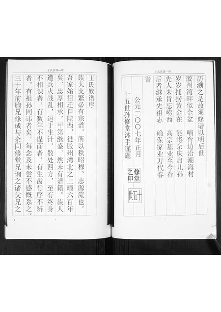 山东王氏-王氏族谱.pdf电子版预览图4