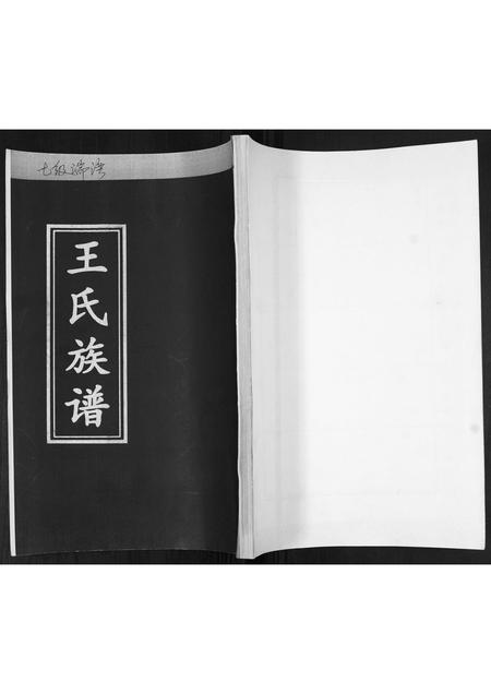 山东王氏-王氏族谱.pdf电子版缩略图