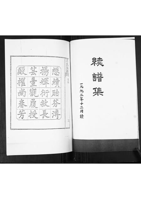 山东王氏-王氏族谱.pdf电子版预览图1