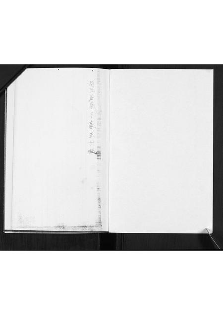 山东王氏-王氏族谱.pdf电子版预览图1