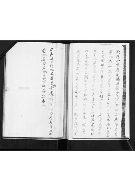 山东王氏-王氏族谱.pdf电子版预览图2