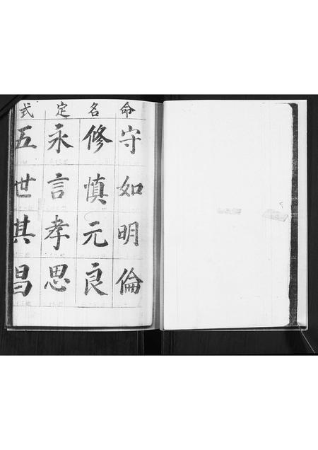 山东王氏-王氏族谱.pdf电子版预览图3