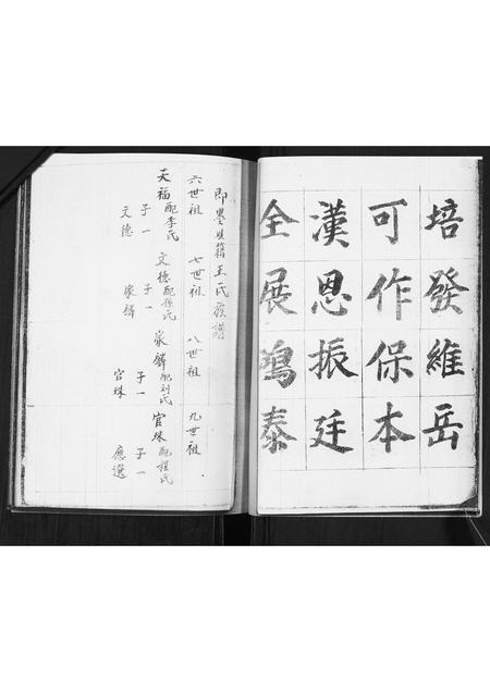 山东王氏-王氏族谱.pdf电子版预览图5