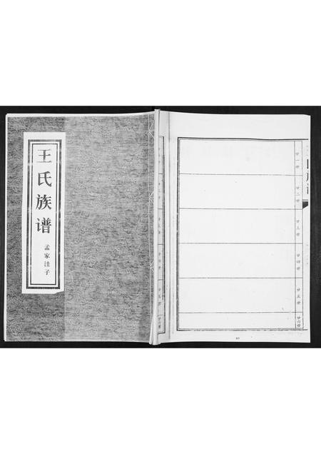 山东王氏-王氏族谱.pdf电子版缩略图