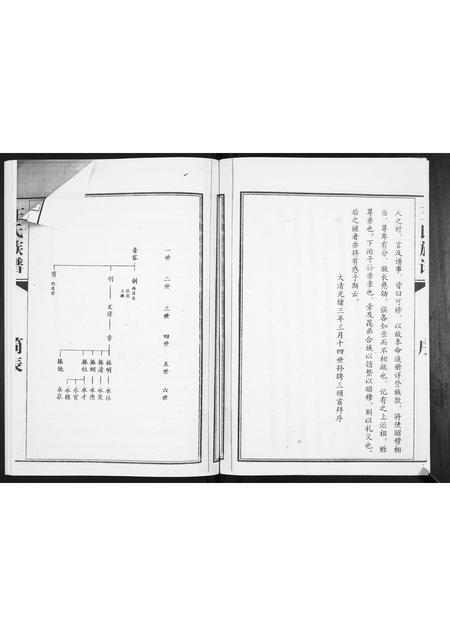 山东王氏-王氏族谱.pdf电子版预览图4