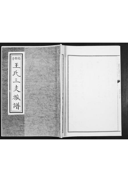 山东王氏-王氏族谱.pdf电子版缩略图