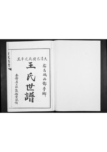 山东王氏-王氏族谱.pdf电子版预览图1