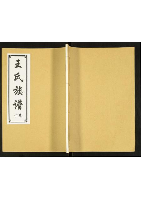 山东王氏-王氏族谱.pdf电子版缩略图