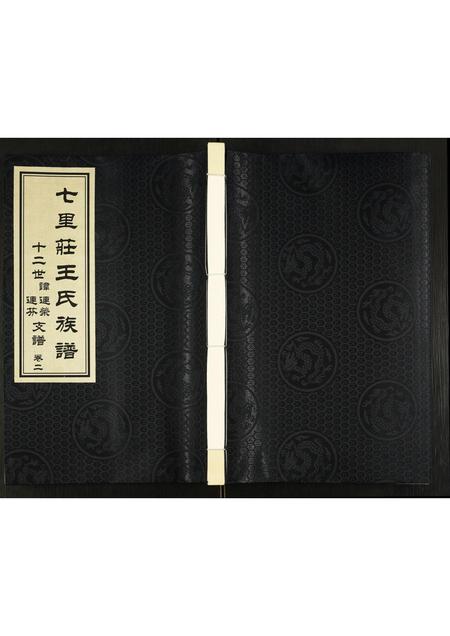 山东王氏-王氏族谱.pdf电子版缩略图