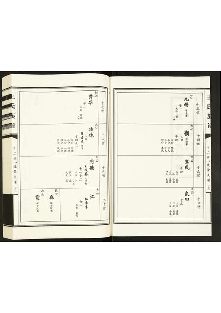 山东王氏-王氏族谱.pdf电子版预览图2