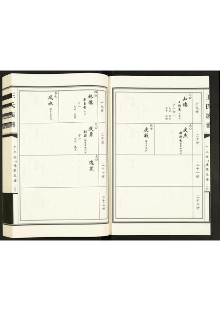 山东王氏-王氏族谱.pdf电子版预览图4