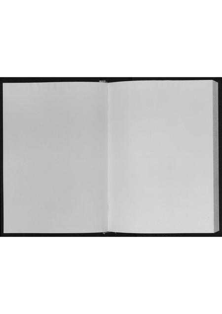 山东王氏-王氏族谱.pdf电子版预览图1