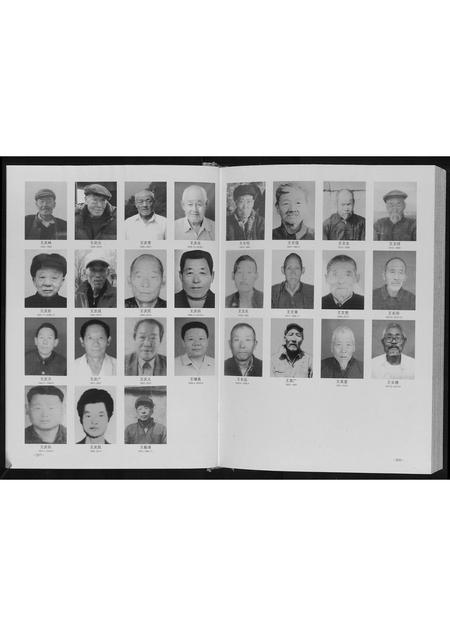 山东王氏-王氏族谱.pdf电子版预览图2