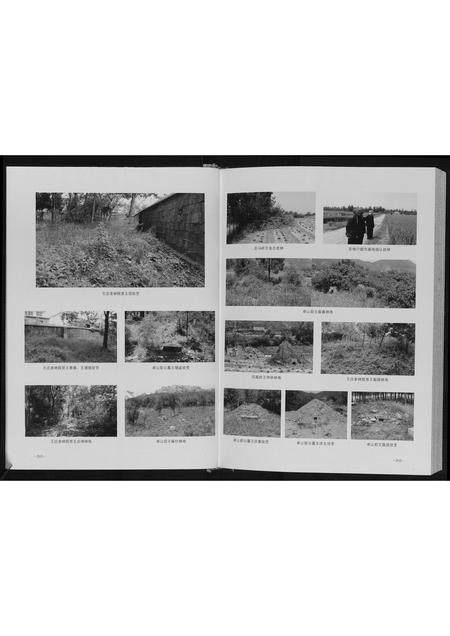 山东王氏-王氏族谱.pdf电子版预览图4