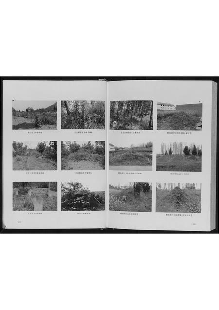 山东王氏-王氏族谱.pdf电子版预览图5