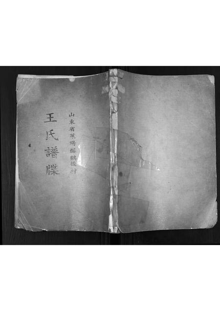 山东王氏-王氏族谱.pdf电子版缩略图