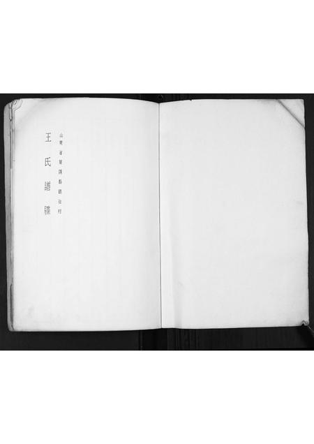 山东王氏-王氏族谱.pdf电子版预览图1