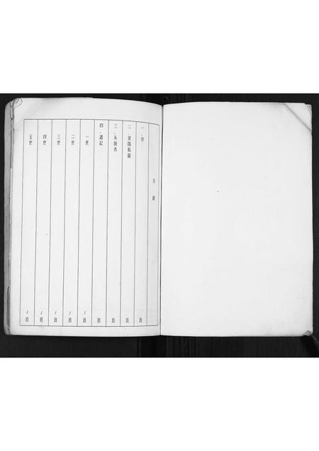 山东王氏-王氏族谱.pdf电子版预览图2