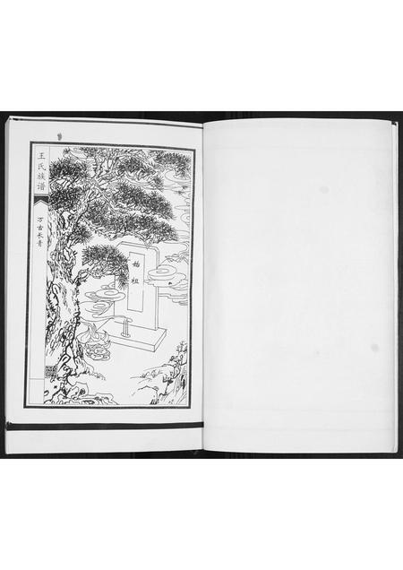 山东王氏-王氏族谱.即墨王圈支谱.pdf电子版预览图2