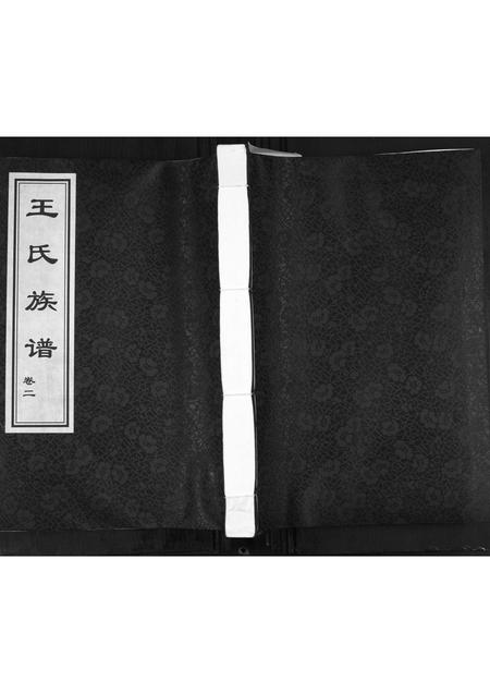 山东王氏-王氏族谱[2卷].pdf电子版缩略图