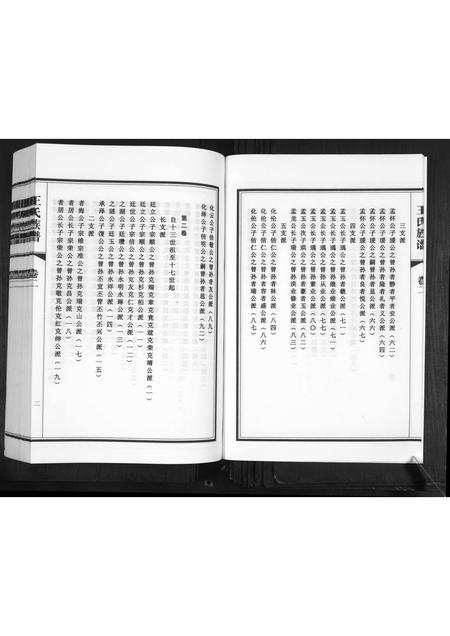 山东王氏-王氏族谱[2卷].pdf电子版预览图4