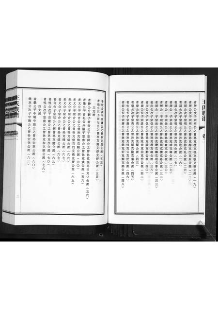 山东王氏-王氏族谱[2卷].pdf电子版预览图5