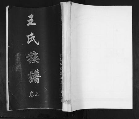 山东王氏-王氏族谱[2卷].pdf电子版缩略图