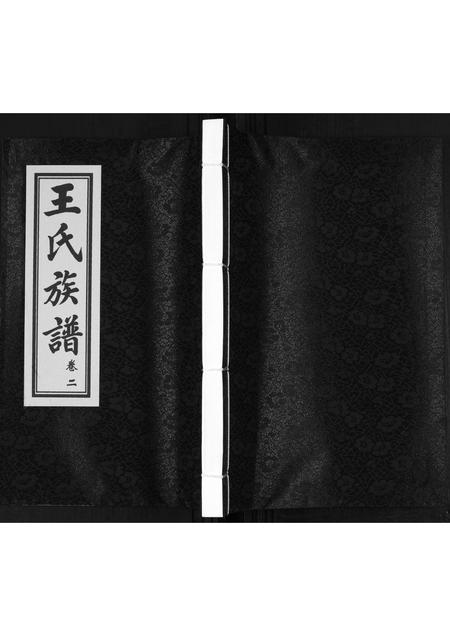 山东王氏-王氏族谱[2卷].pdf电子版缩略图