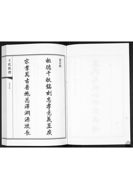 山东王氏-王氏族谱[2卷].pdf电子版预览图2