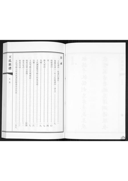 山东王氏-王氏族谱[2卷].pdf电子版预览图3