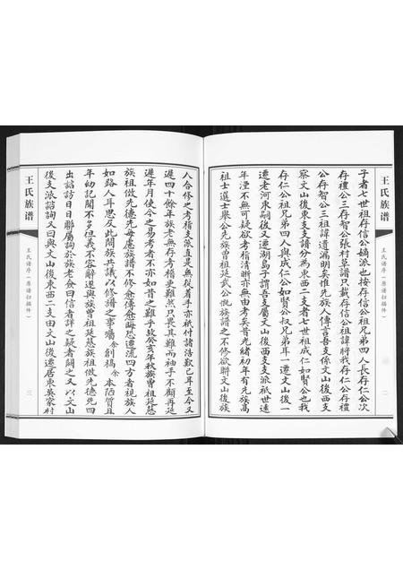 山东王氏-王氏族谱[2卷].pdf电子版预览图5