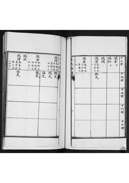 山东王氏-王氏族谱[2卷].pdf电子版预览图1