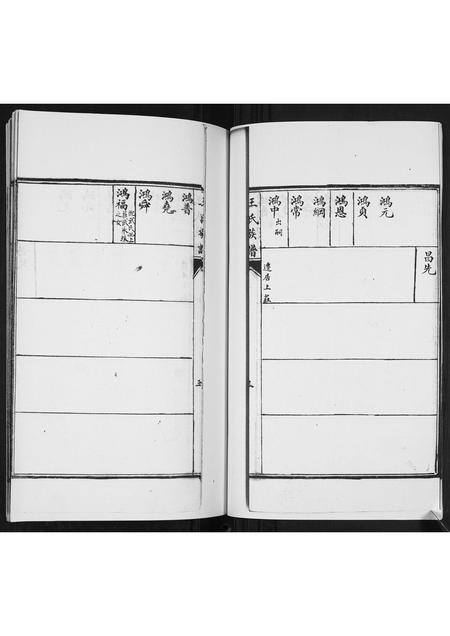 山东王氏-王氏族谱[2卷].pdf电子版预览图3